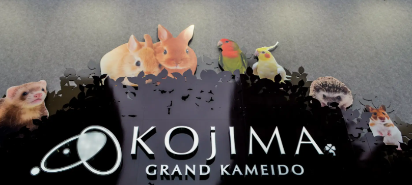 ペットショップのコジマ ペットローン在籍確認ある?分割払い審査甘いのはどこ